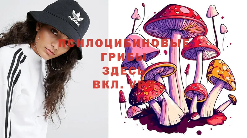 это наркотические препараты  Куса  Галлюциногенные грибы Psilocybe 